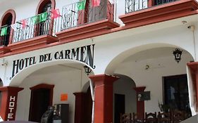 Hotel Del carmen